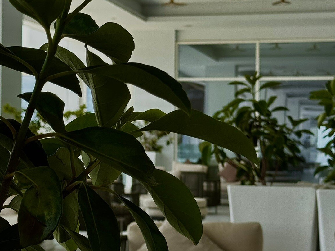 Chrysomare Beach Hotel and Resort主图