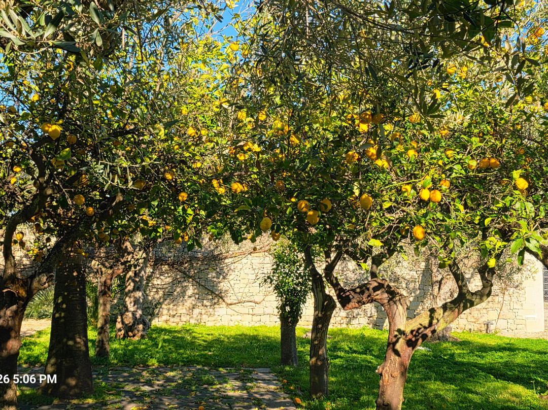 康姆比奥卡瓦洛联合国教科文组织区度假村主图