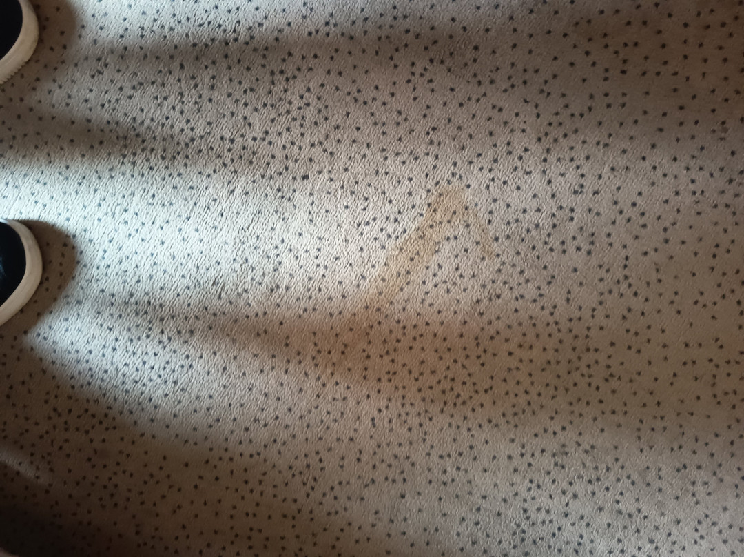 康瑟尔鲁昂1号酒店主图