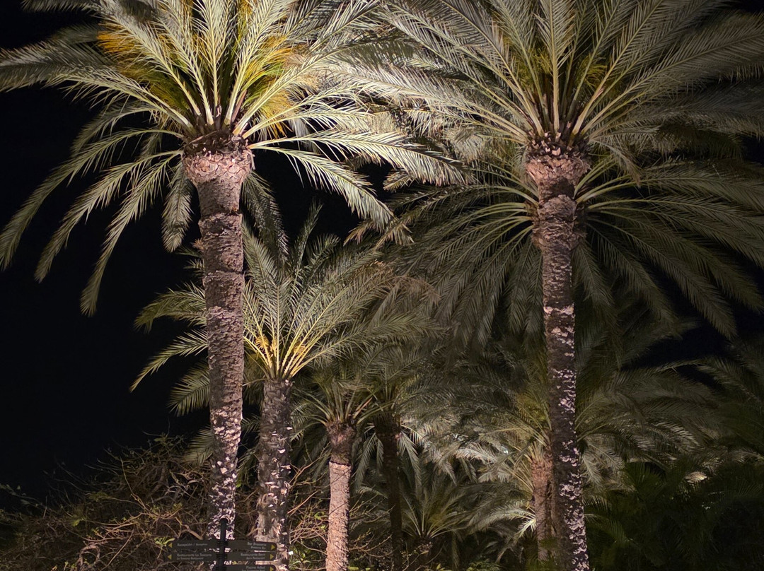 洛普森科斯塔梅隆内拉斯水疗度假村主图