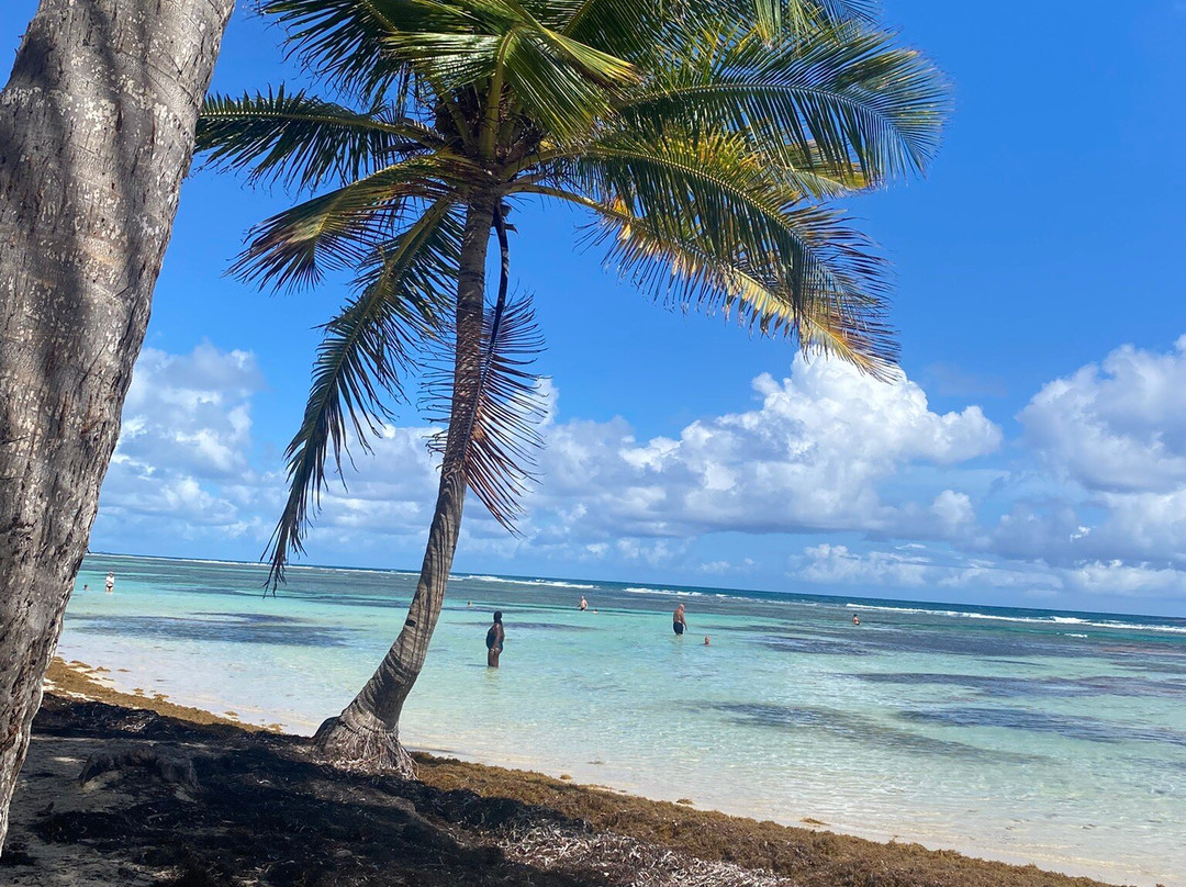 Plage de Bois Jolan-Sainte-Anne必去景点