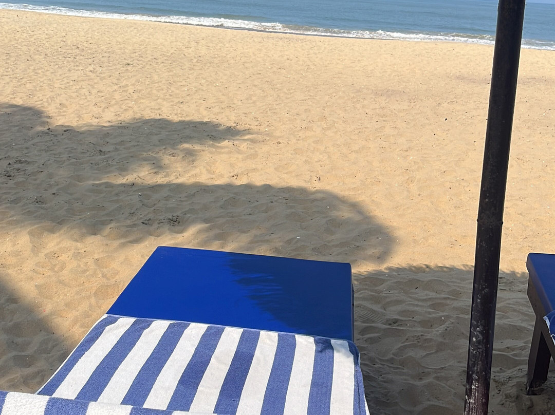 阿育吠陀生活乡村旅馆主图