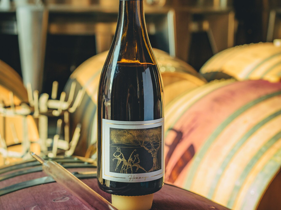 La Cave des Coteaux de Montpellier-Saint-Genies-des-Mourgues必去景点