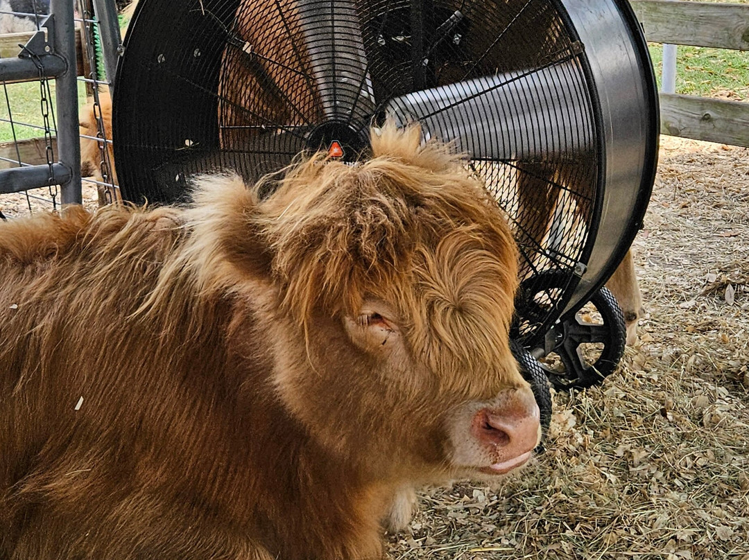 Rooterville Animal Sanctuary-Melrose必去景点