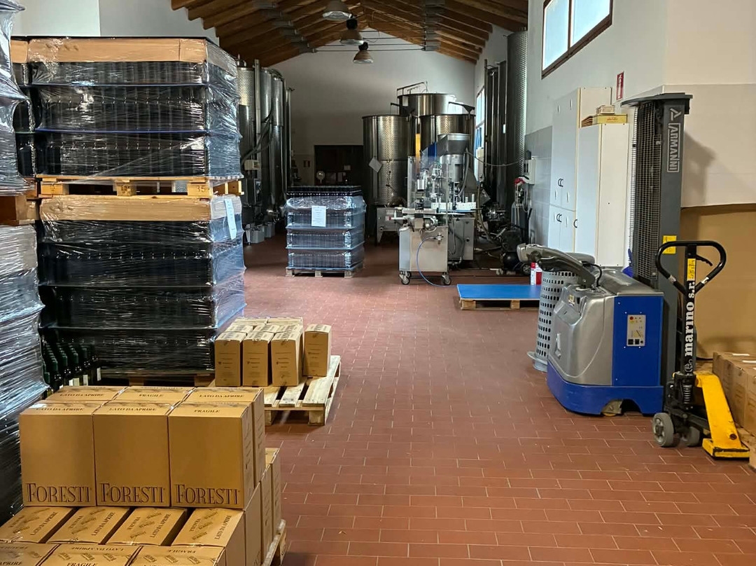 Foresti Wine - Azienda Agricola Foresti Marco-Camporosso必去景点
