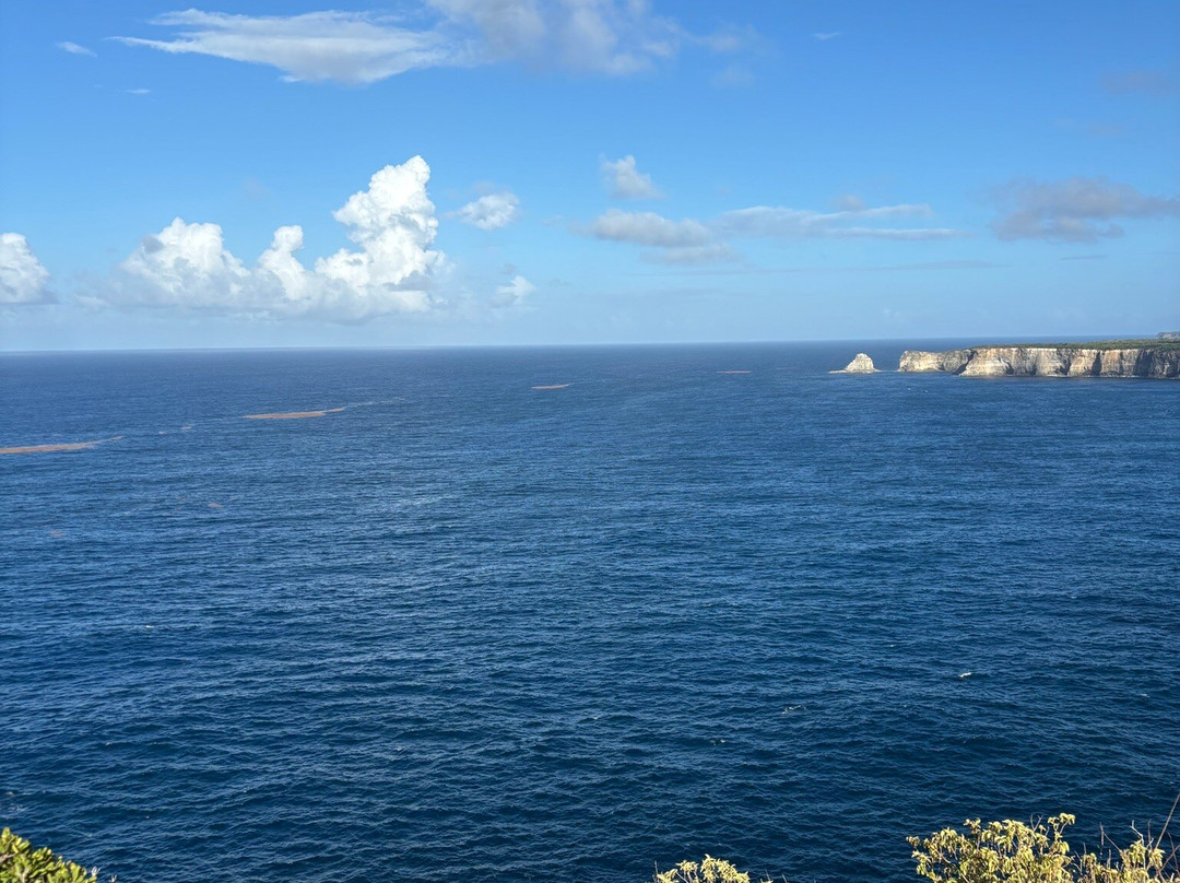 Pointe de la Grande Vigie-Anse-Bertrand必去景点