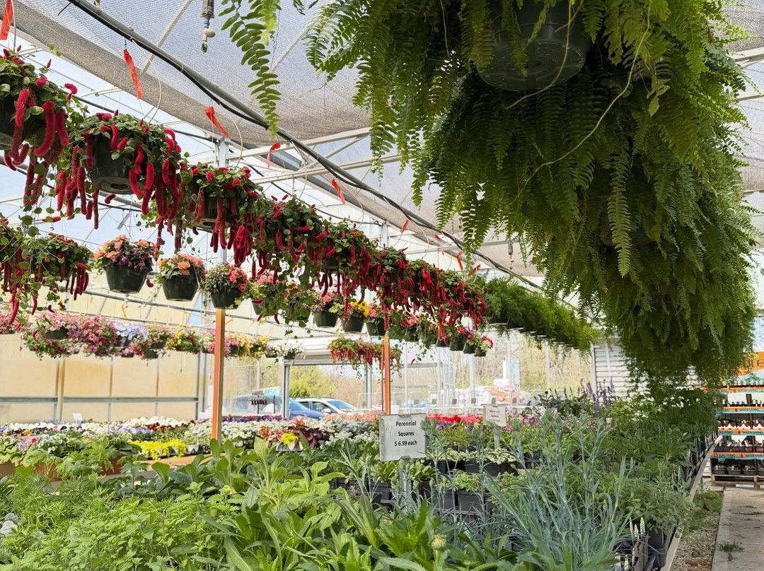 Gatewood Vegetable Farm & Greenhouses, Inc.-Noblesville必去景点