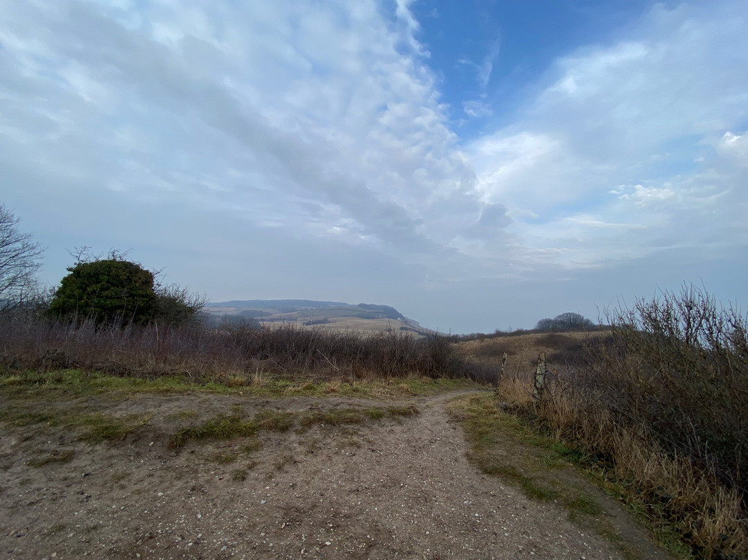 Nationalpark Mols Bjerge-Roende必去景点