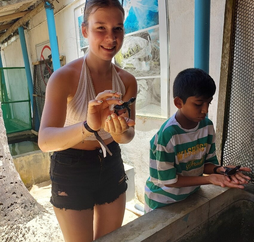 Sea Turtle Farm Galle Mahamodara-加勒必去景点