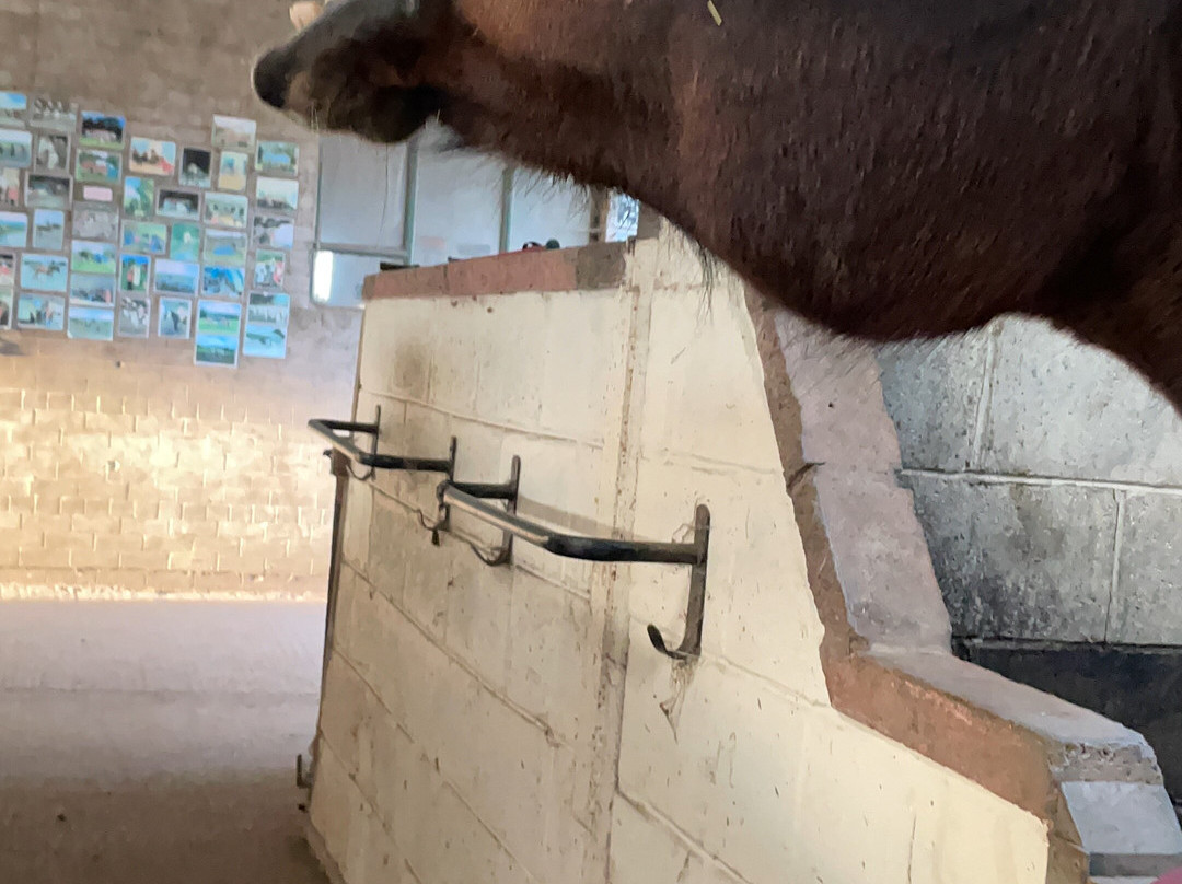 Bank House Equestrian - Private Rides-彭里斯必去景点