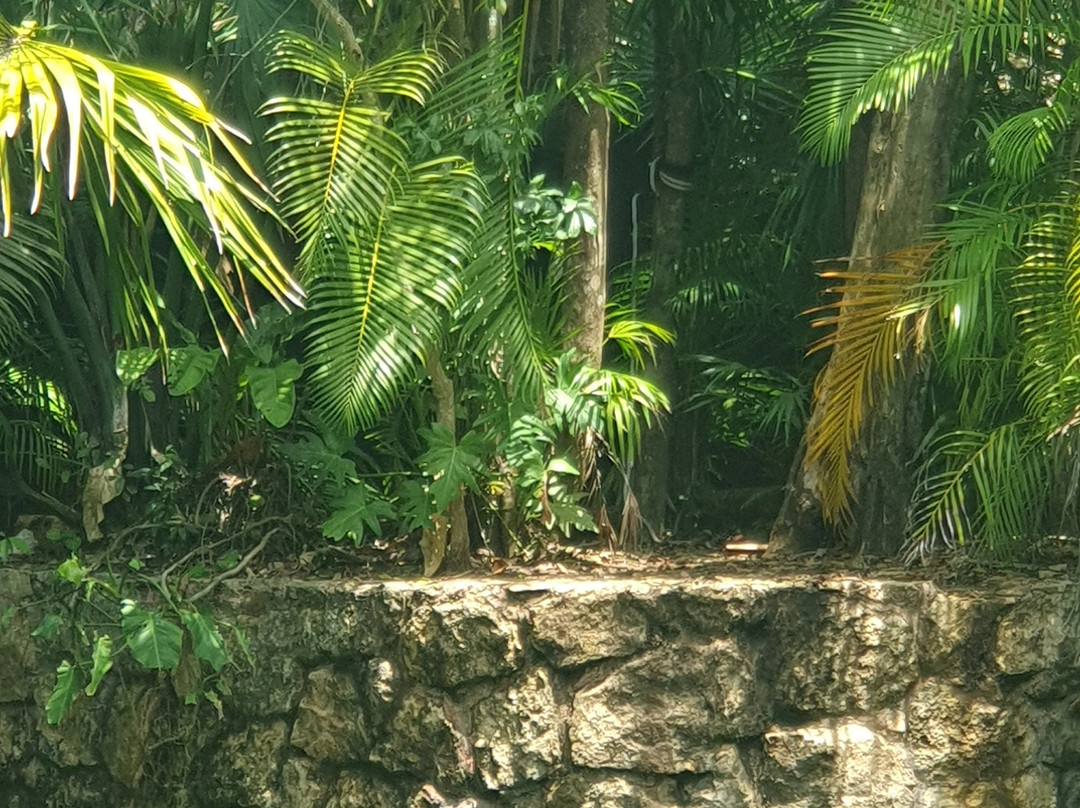 Ecopark Kantun Chi-阿范特拉斯港必去景点