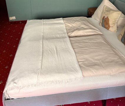 运动阿尔姆酒店-旅行者