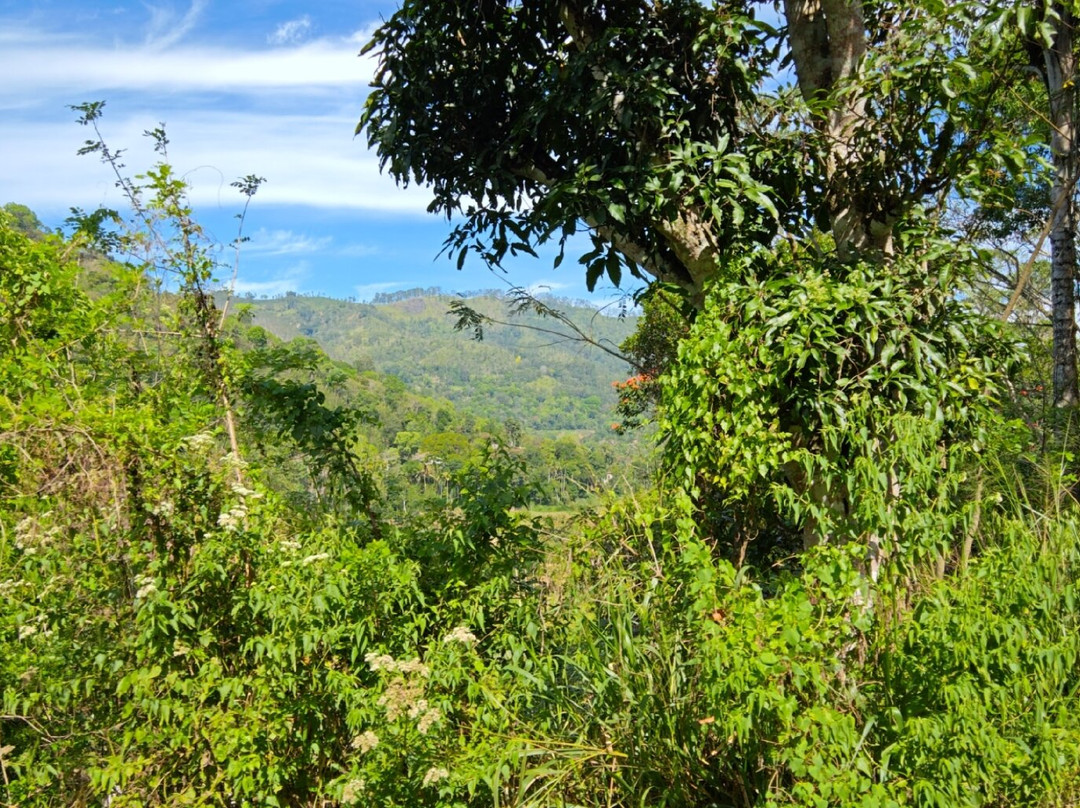 Ceylon Master Tours-Waskaduwa必去景点