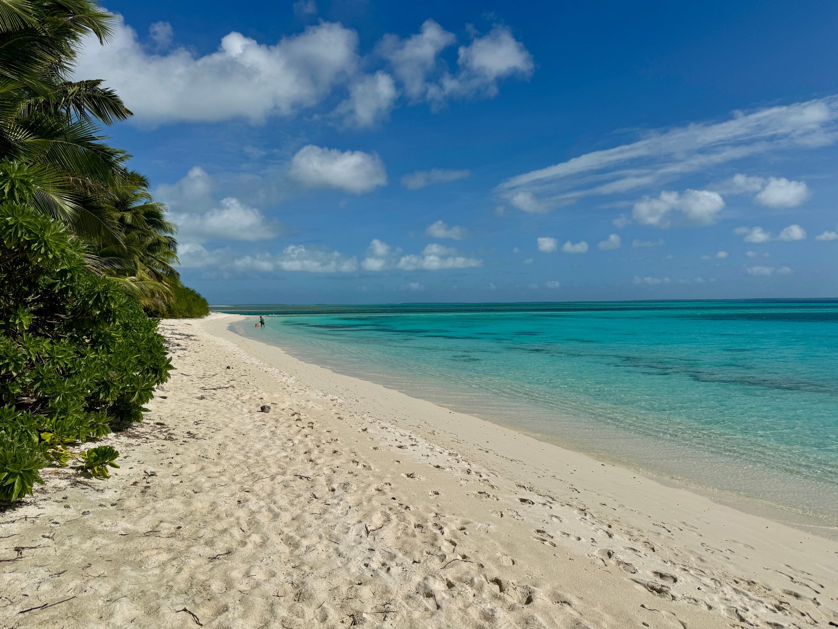 The Breakers Cocos-旅行者