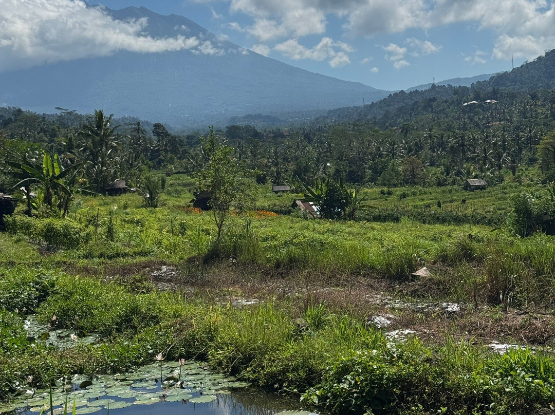 Epo Bali Driver-登巴萨必去景点