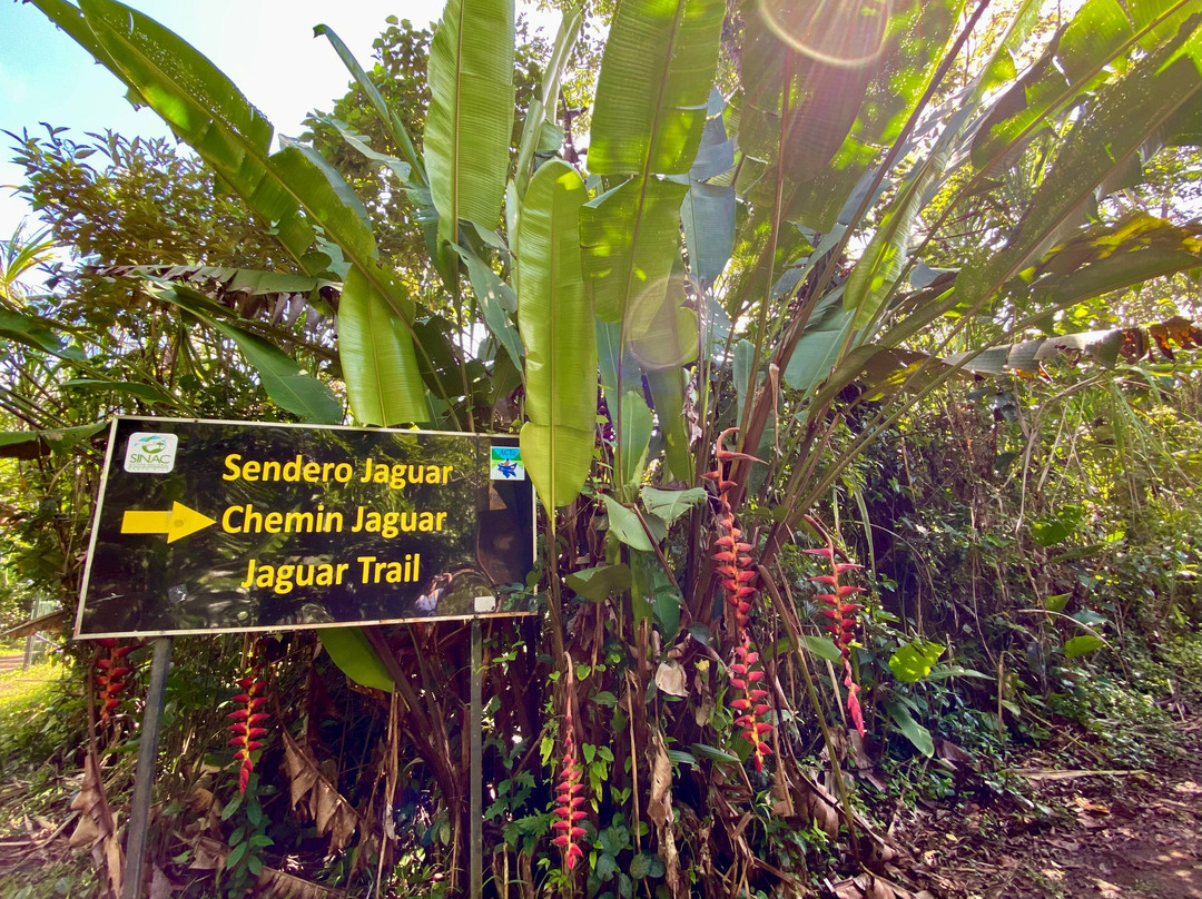 Tortuguero National Park-托图杰多必去景点