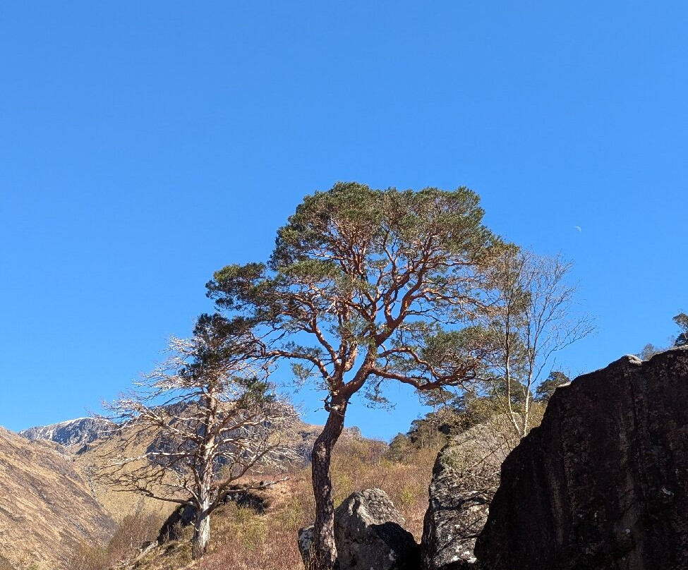 Steall Waterfall-威廉堡必去景点