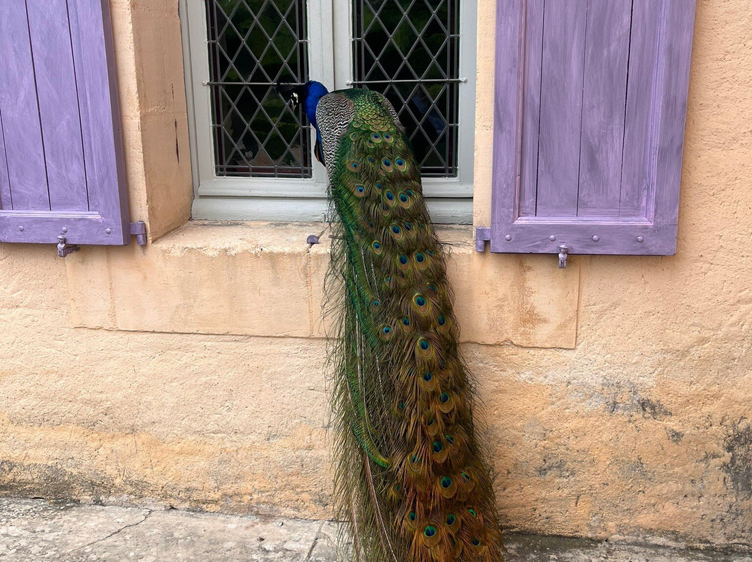 Les Jardins De Marqueyssac-Vezac必去景点