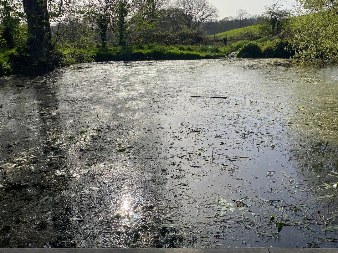 Saltram (National Trust)-普利茅斯必去景点