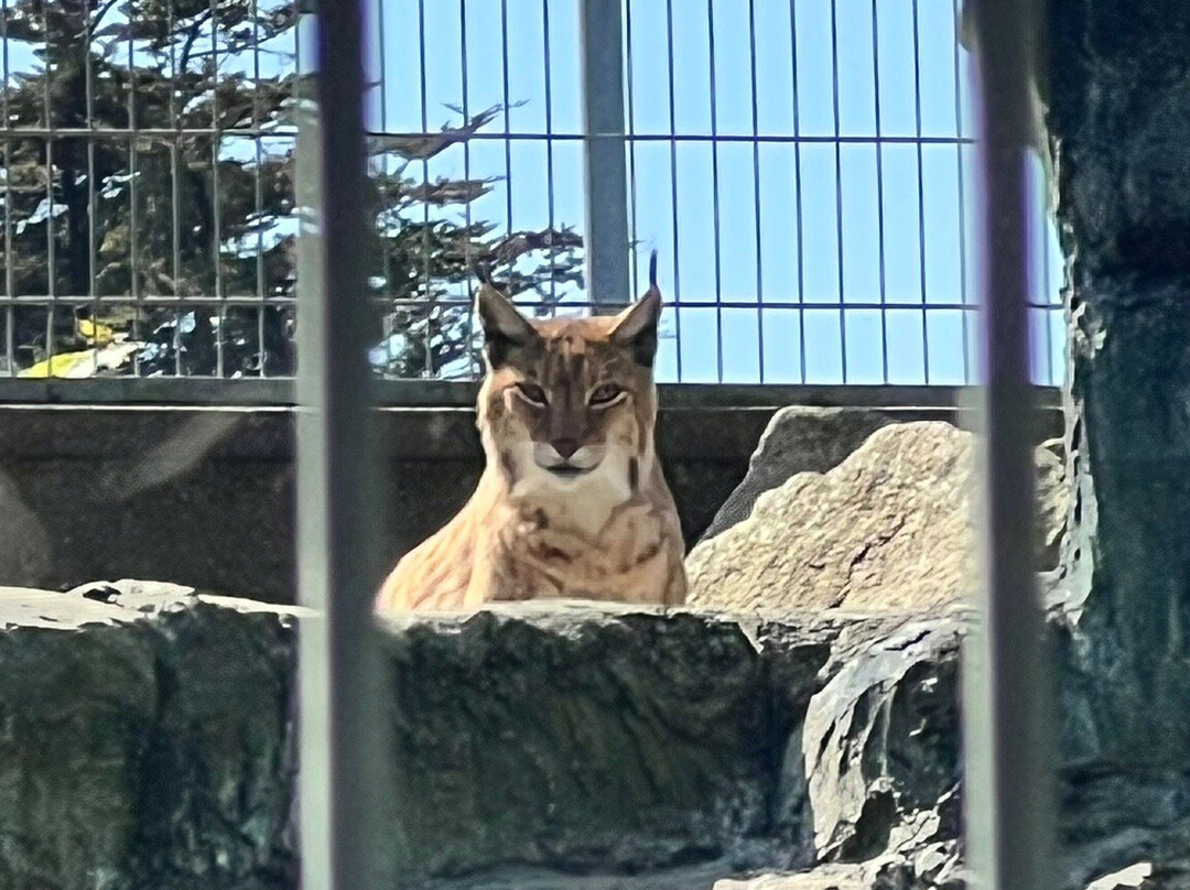 Newquay Zoo-纽奎必去景点