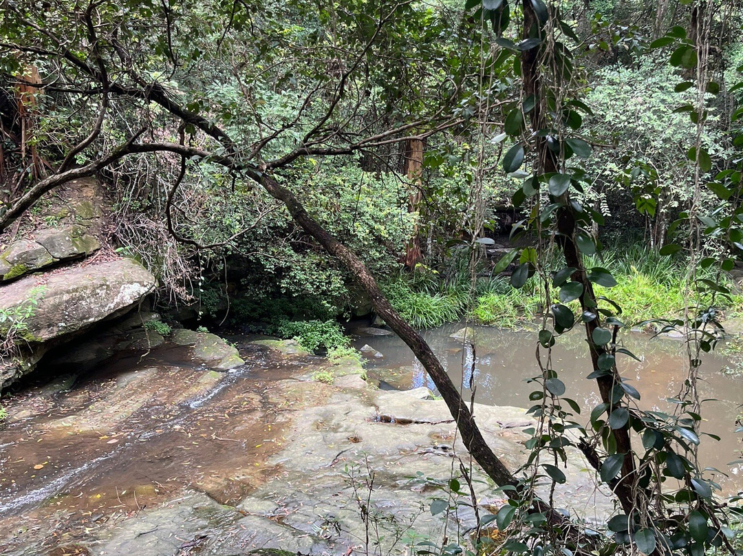 Little Rocky Creek-Landsborough必去景点