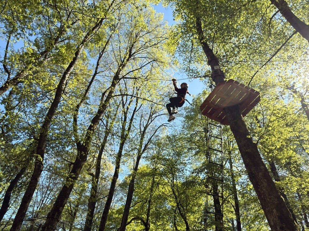 Lake Como Adventure Park-格拉韦多纳必去景点
