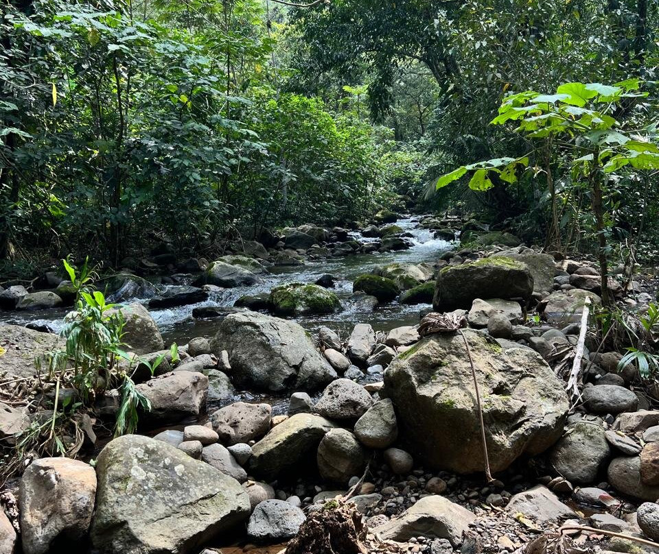 Catemaco Lake-Catemaco必去景点