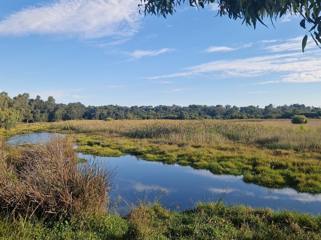 Yanchep National Park-扬切普必去景点