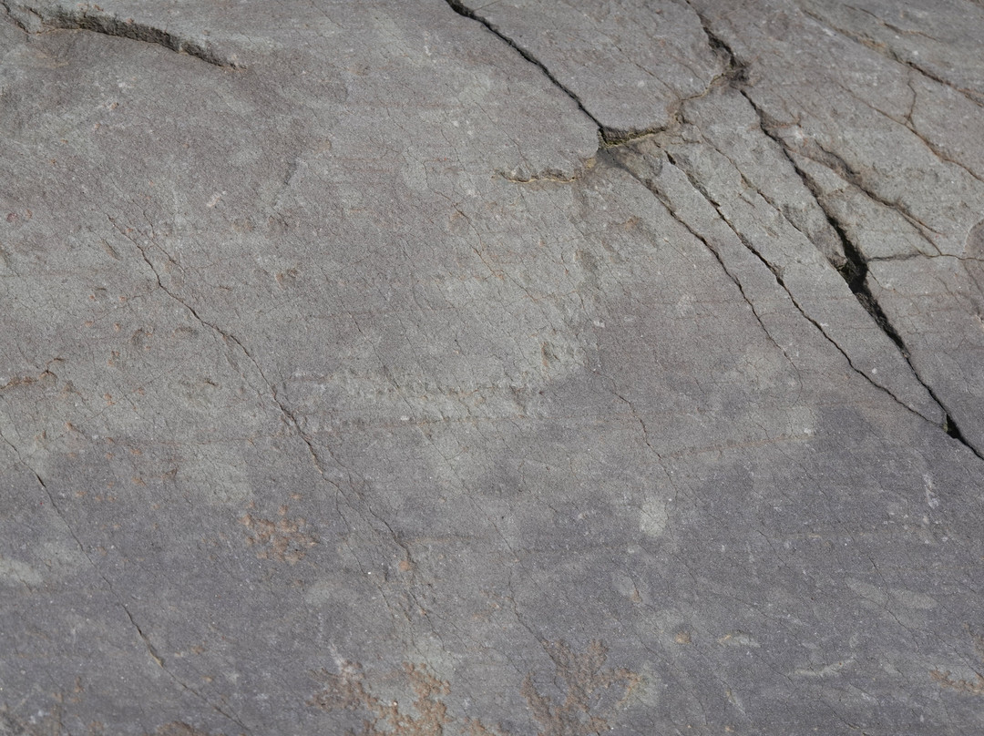 Parco Archeologico Comunale di Seradina-Bedolina-Capo di Ponte必去景点