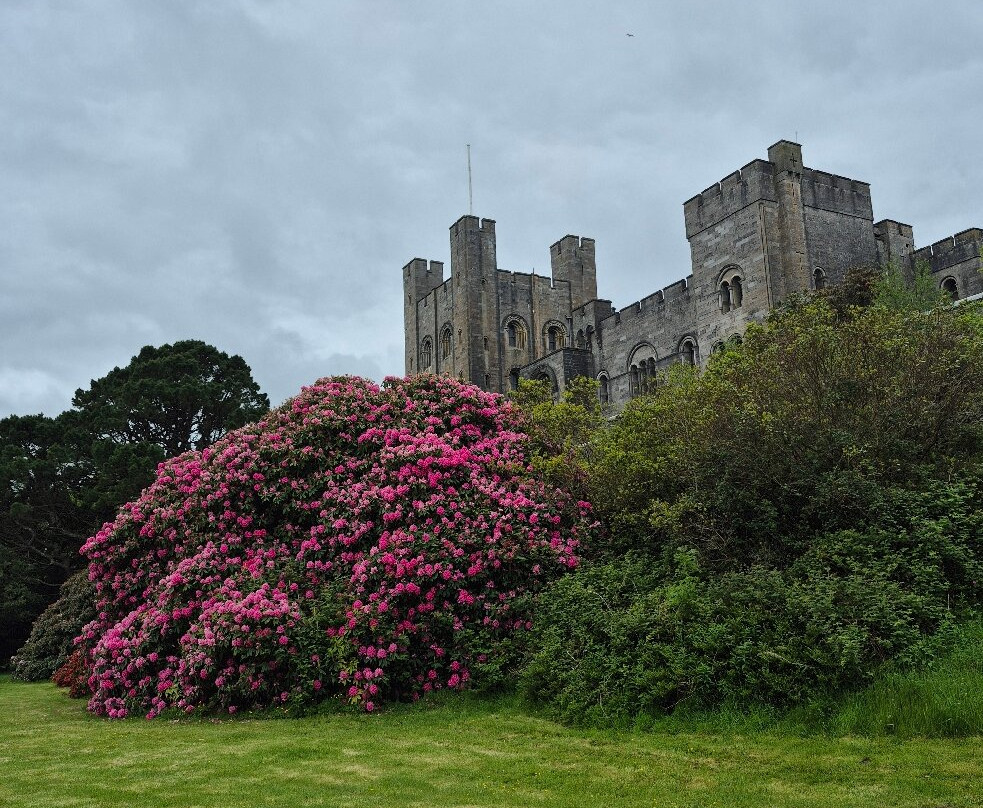 Penrhyn Castle-班格尔必去景点