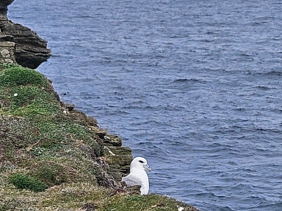 Serenity Scotland-Crail必去景点