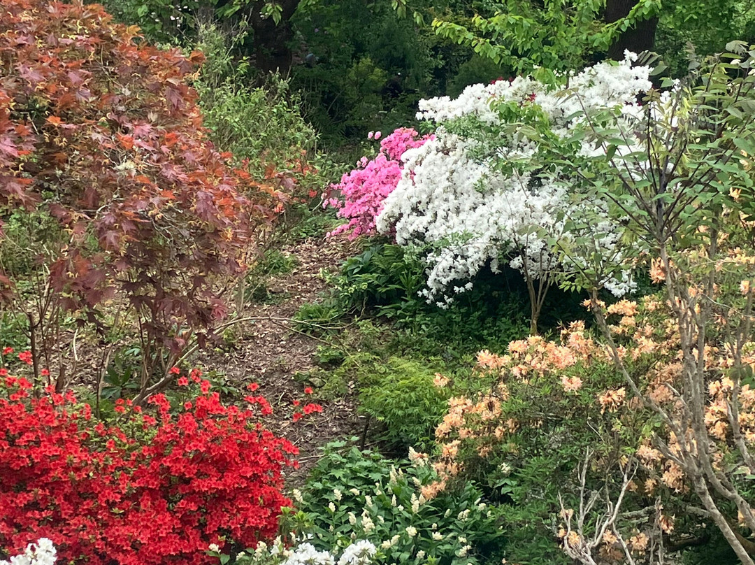 Scotney Castle Garden-Lamberhurst必去景点