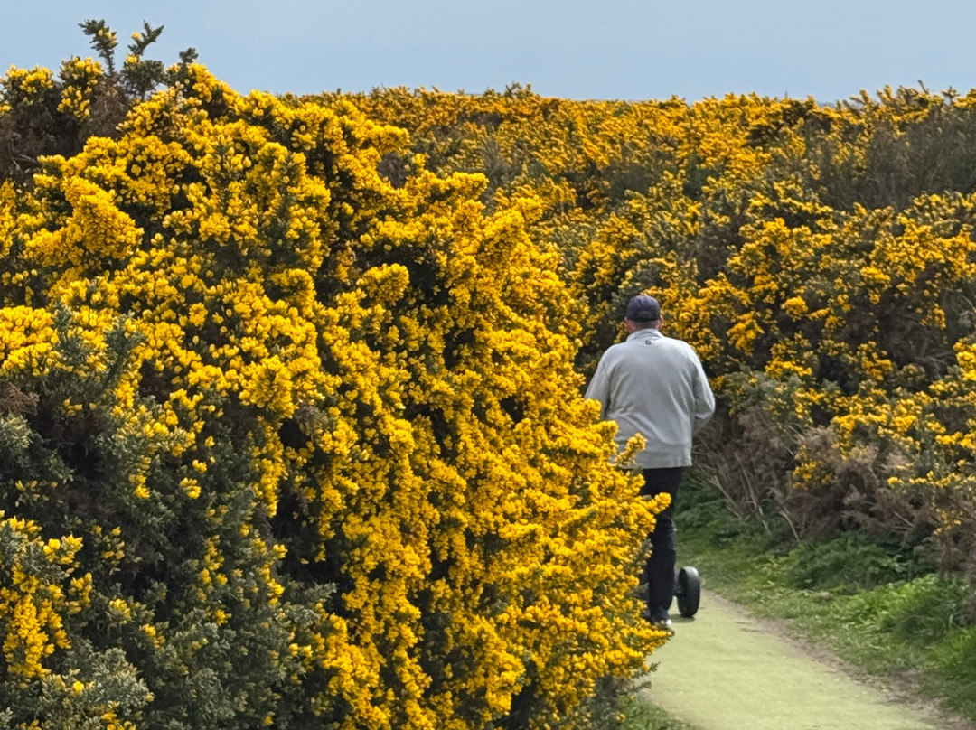 St Andrews For Golf-圣安德鲁斯必去景点