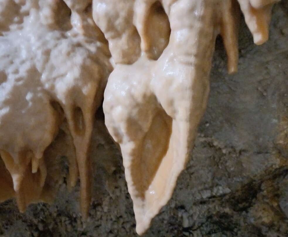 Grotta Antro del Corchia-Levigliani必去景点