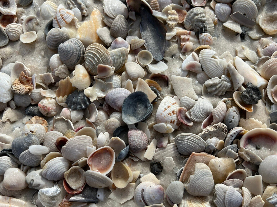 Cortez Beach-布雷登顿必去景点