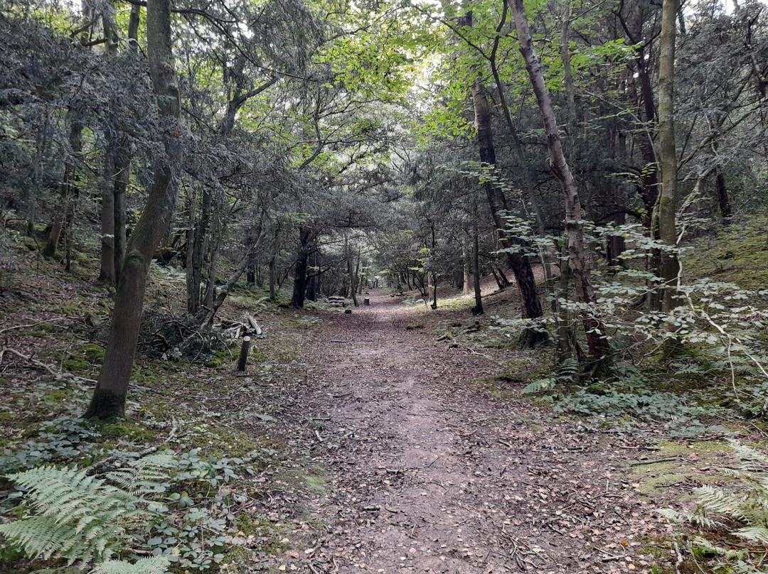 Grubbins Wood-Arnside必去景点