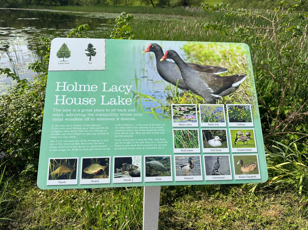 Warner Hotels - Holme Lacy House主图