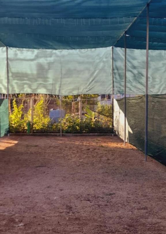Ampelonas camping