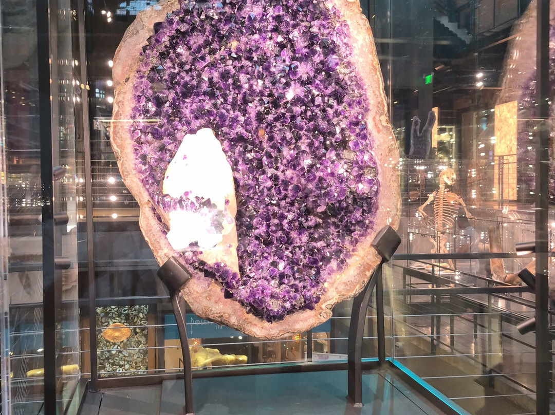 萨凡纳植物河滨区 JW 万豪酒店主图