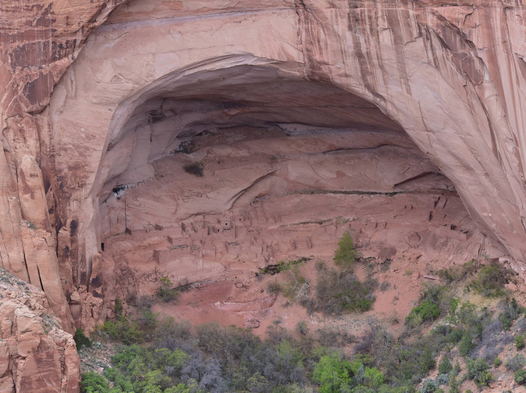 Navajo National Monument-Shonto必去景点