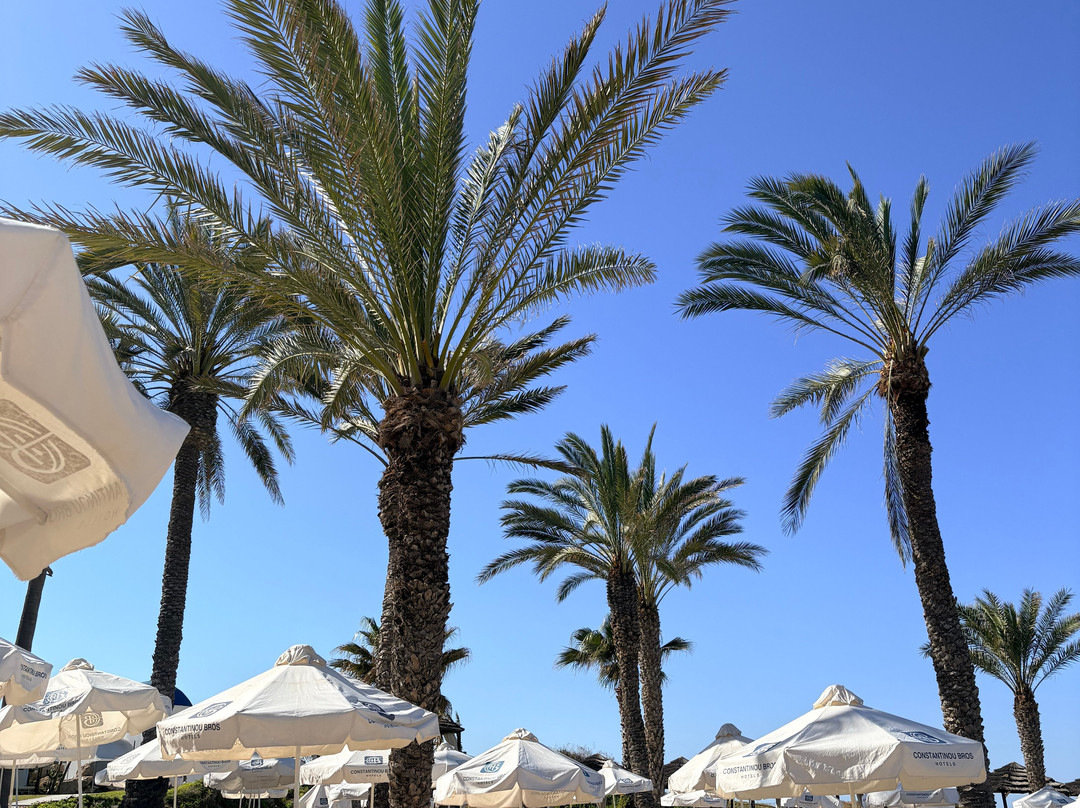 Constantinou Bros Pioneer Beach Hotel主图