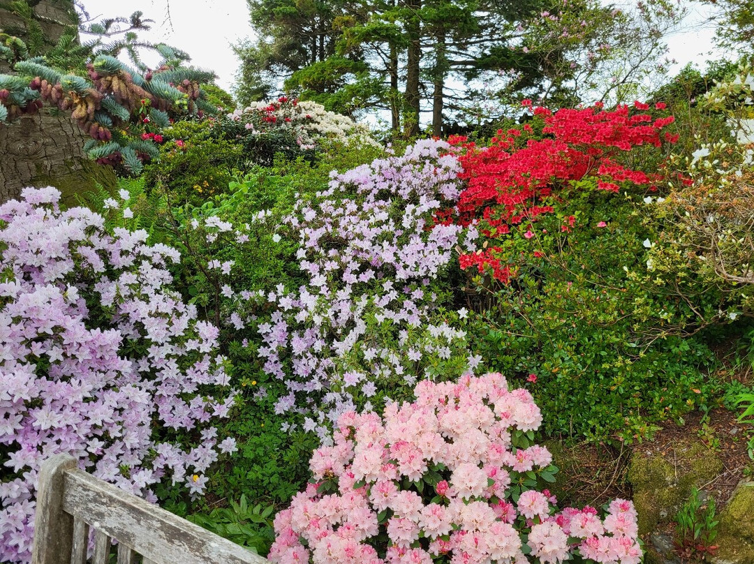 Holehird Gardens-温德米尔必去景点