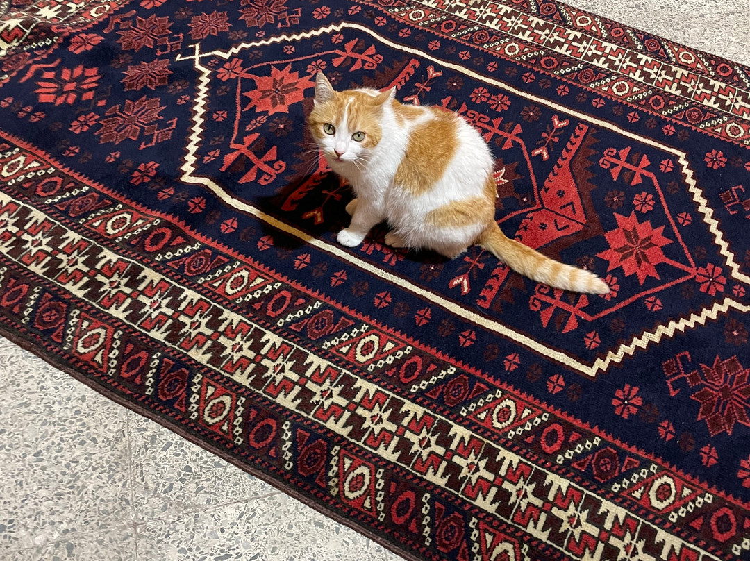 Pergamon Carpet Weaving Coop-贝尔加马必去景点