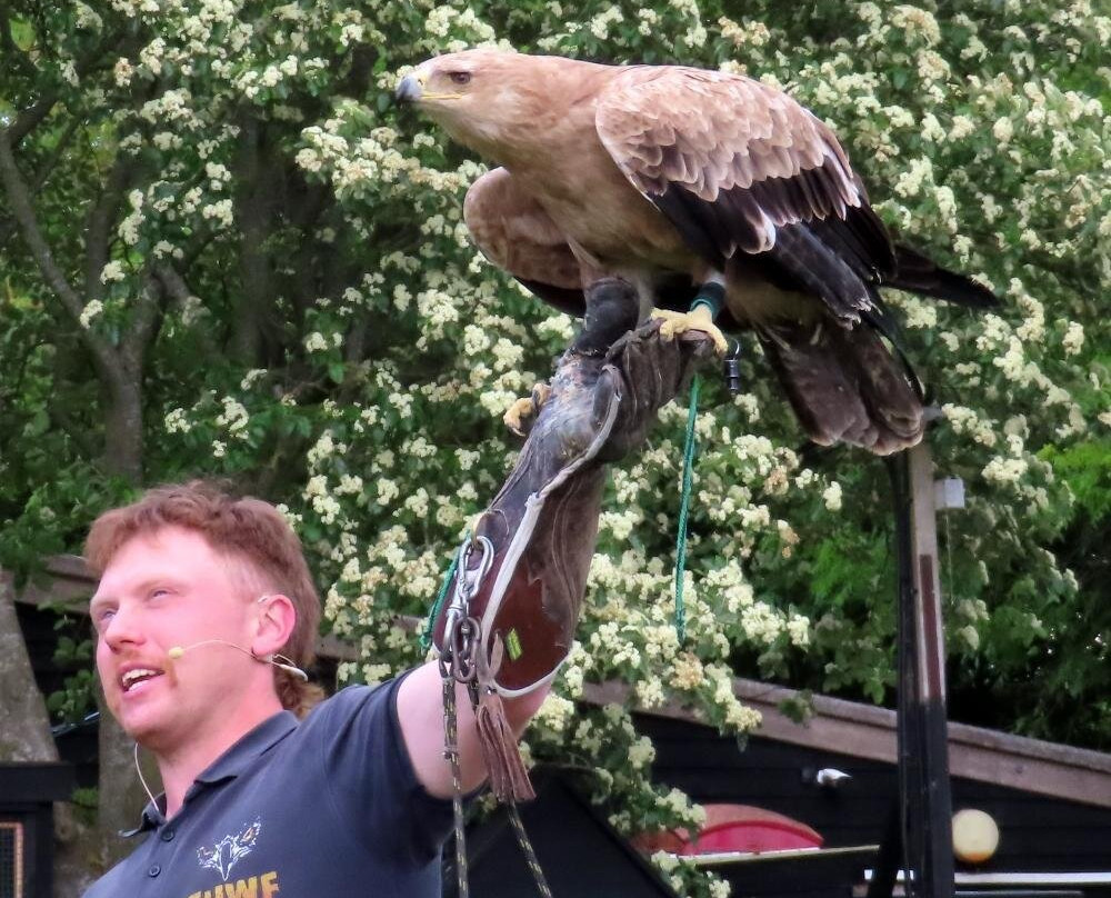 Eagle Heights Wildlife Foundation-Eynsford必去景点