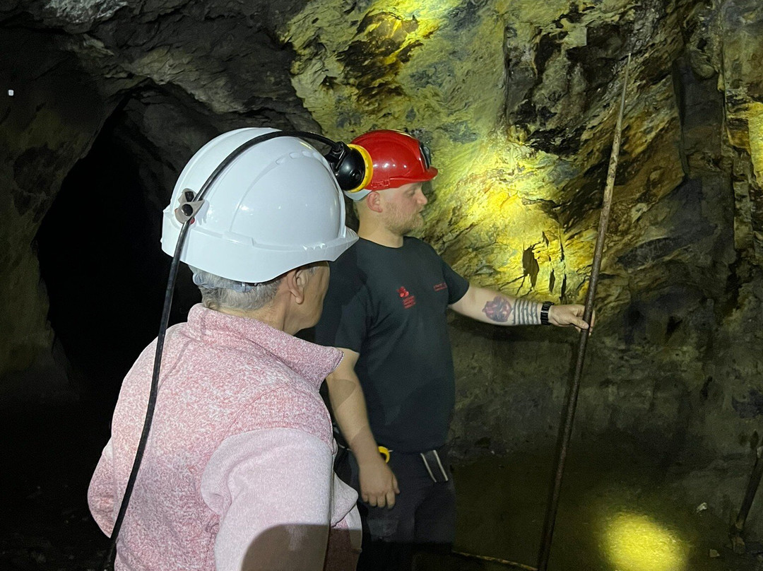 Dolaucothi Gold Mines-Llanwrda必去景点