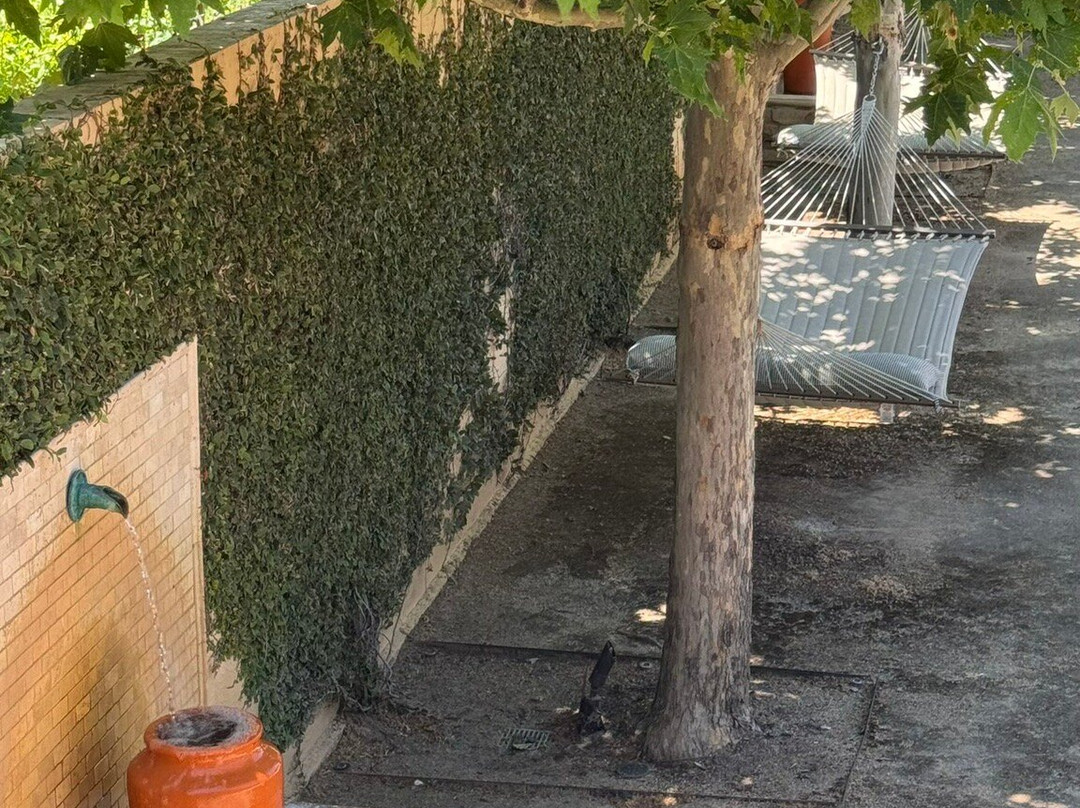 纳帕谷小屋酒店主图