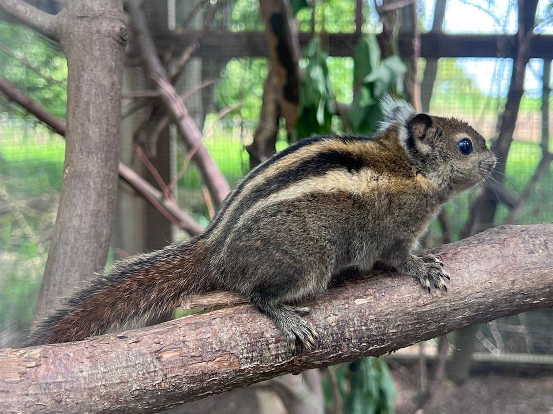Lakeland Wildlife Oasis-Milnthorpe必去景点