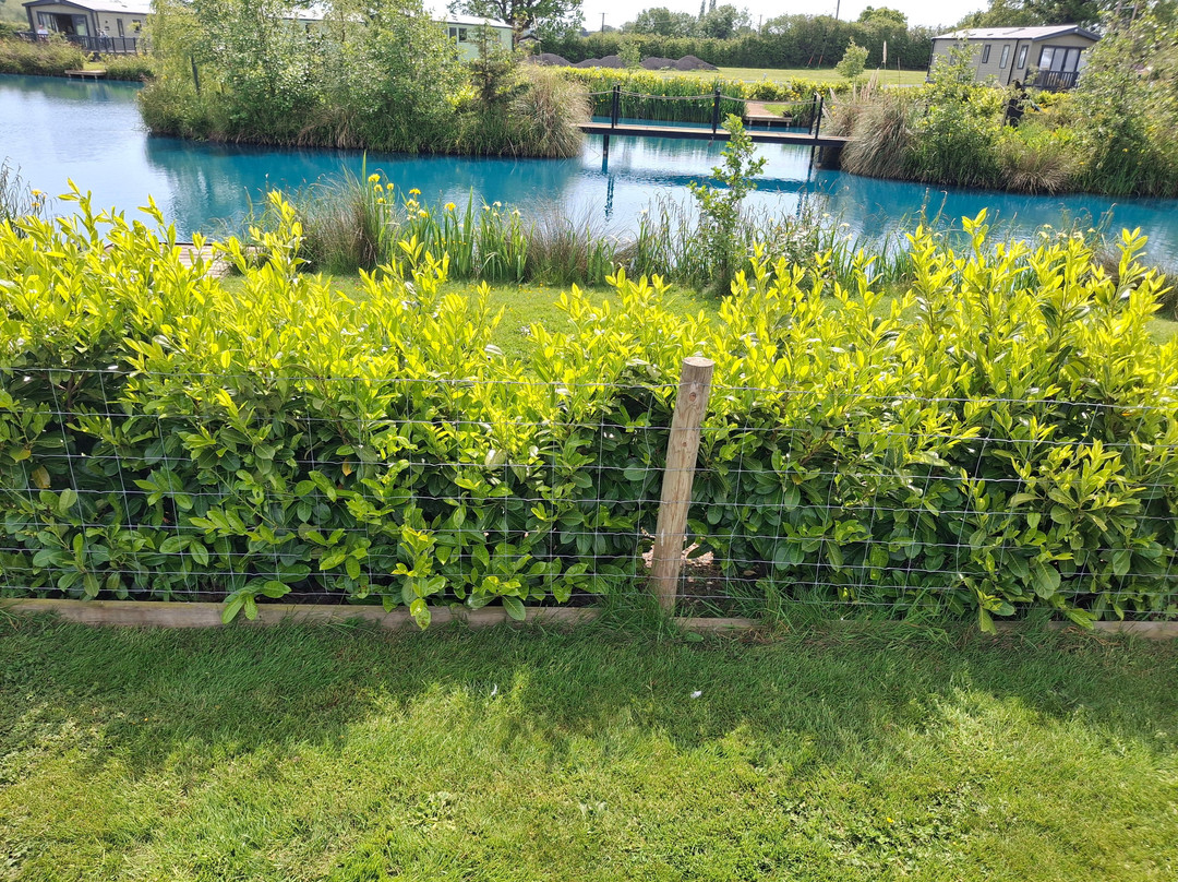 Sunnyside Farm Caravan Park & Fishery
