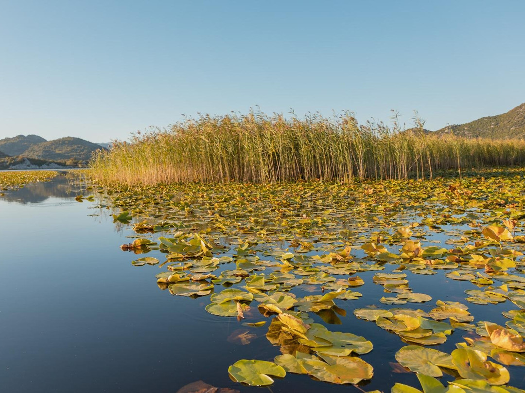 Spirit Of Montenegro / Skadar Lake Boat Tour-Vranjina必去景点