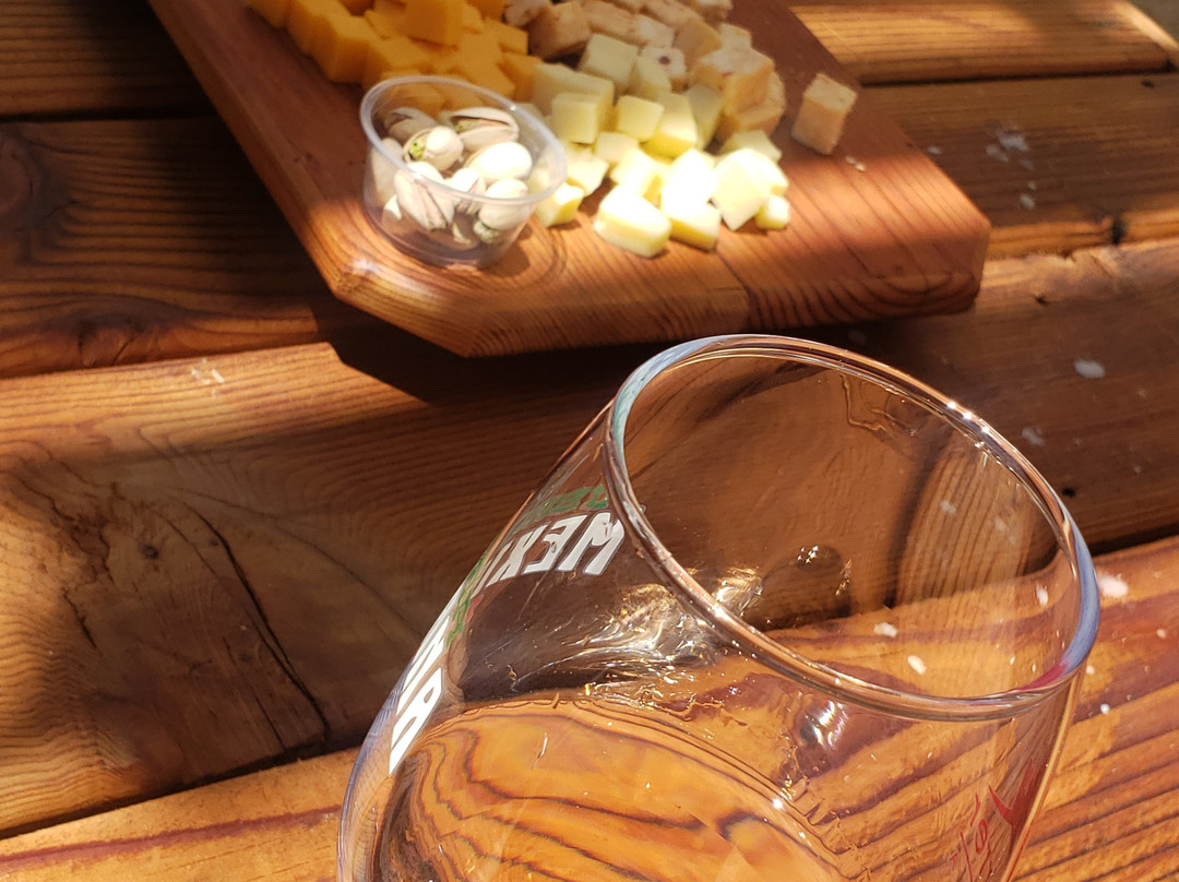 Castillo Ferrer Vinicola-Ejido El Porvenir必去景点
